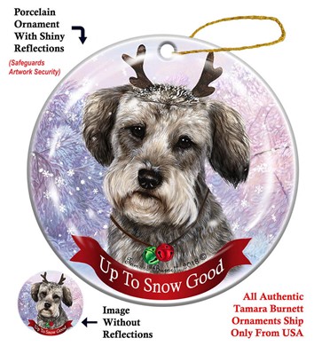 Raining Cats and Dogs | Schnoodle Up to Snow Good Dog Christmas Ornament