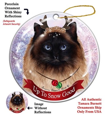 Raining Cats and Dogs | Tortoiseshell Cat Up to Snow Good Dog Christmas Ornament