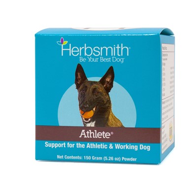 Raining Cats and Dogs | Herbsmith Athlete Support for Athletic Dogs