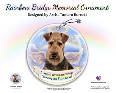 Raining Cats and Dogs | Airedale Rainbow Bridge Memorial Ornament