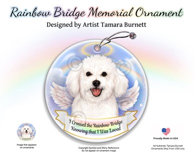 Raining Cats and Dogs | Bichon Dog Rainbow Bridge Memorial Ornament
