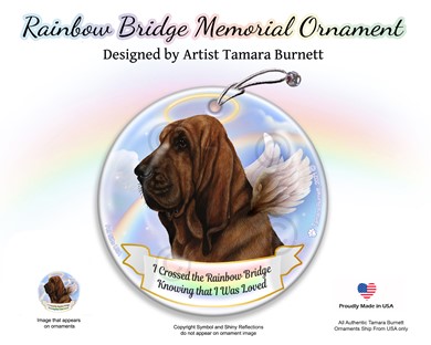 Raining Cats and Dogs | Bloodhound Dog Rainbow Bridge Memorial Ornament