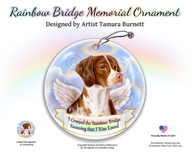 Raining Cats and Dogs | Brittany Dog Rainbow Bridge Memorial Ornament