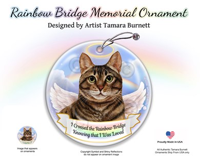 Raining Cats and Dogs | Brown Tabby Cat Rainbow Bridge Memorial Ornament