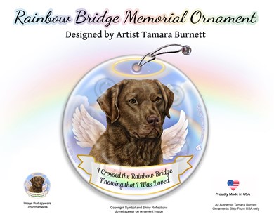 Raining Cats and Dogs | Chesapeake Bay Retriever Dog Rainbow Bridge Memorial Ornament
