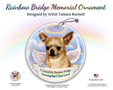 Raining Cats and Dogs | Chihuahua Dog Rainbow Bridge Memorial Ornament