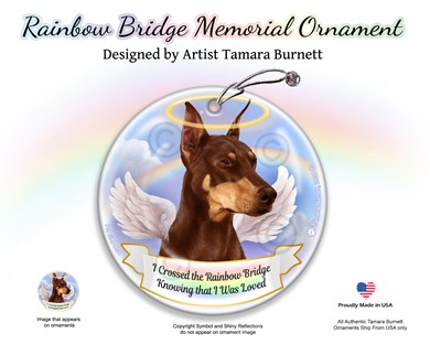 Raining Cats and Dogs | Doberman Rainbow Bridge Memorial Ornament
