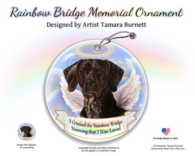 Raining Cats and Dogs | German Shorthaired Pointer Rainbow Bridge Memorial Ornament
