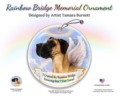 Raining Cats and Dogs | Great Dane Rainbow Bridge Memorial Ornament