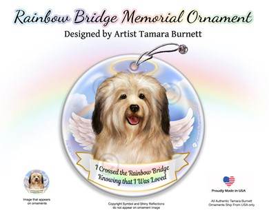 Raining Cats and Dogs | Havanese Rainbow Bridge Memorial Ornament