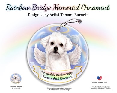 Raining Cats and Dogs |Maltese Rainbow Bridge Memorial Ornament