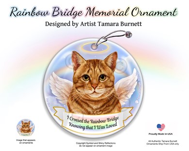 Raining Cats and Dogs |Orange Tabby Cat Rainbow Bridge Memorial Ornament