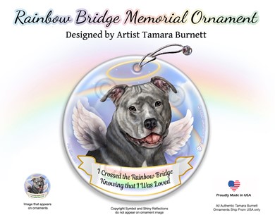 Raining Cats and Dogs | Pit Bull Terrier Dog Rainbow Bridge Memorial Ornament