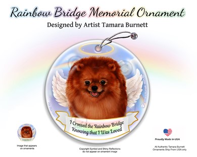 Raining Cats and Dogs |Pomeranian Dog Rainbow Bridge Memorial Ornament
