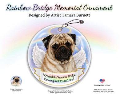 Raining Cats and Dogs |Pug Dog Rainbow Bridge Memorial Ornament