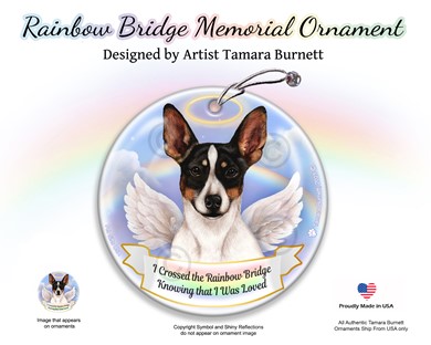 Raining Cats and Dogs | Rat Terrier Dog Rainbow Bridge Memorial Ornament