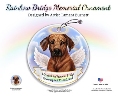 Raining Cats and Dogs | Rhodesian Ridgeback Dog Rainbow Bridge Memorial Ornament