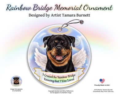 Raining Cats and Dogs | Rottweiler Dog Rainbow Bridge Memorial Ornament