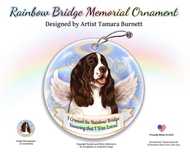 Raining Cats and Dogs | Springer Spaniel Dog Rainbow Bridge Memorial Ornament