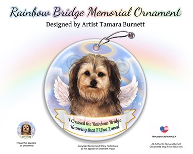Raining Cats and Dogs | Yorkipoo Dog Rainbow Bridge Memorial Ornament