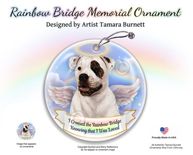 Raining Cats and Dogs | American Bulldog Rainbow Bridge Memorial Ornament