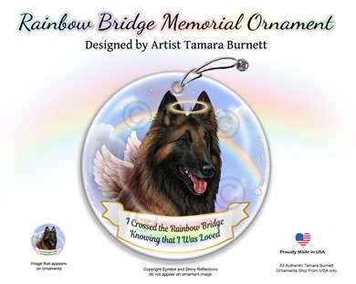 Raining Cats and Dogs | Belgian Tervuren Rainbow Bridge Memorial Ornament