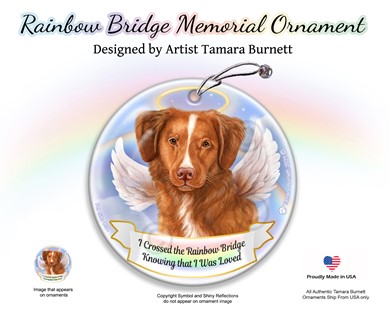 Raining Cats and Dogs | Soft Coated Wheaten Rainbow Bridge Memorial Ornament