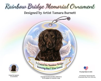 Raining Cats and Dogs | Boykin Spaniel Rainbow Bridge Memorial Ornament