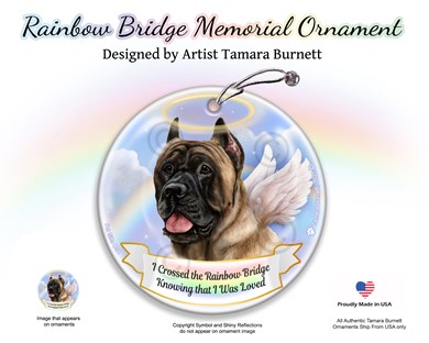 Raining Cats and Dogs |Cane Corso Rainbow Bridge Memorial Ornament