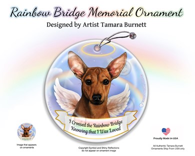 Raining Cats and Dogs | Chiweenie Dog Rainbow Bridge Memorial Ornament