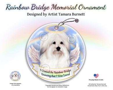 Raining Cats and Dogs | Coton De Tulear Rainbow Bridge Memorial Ornament