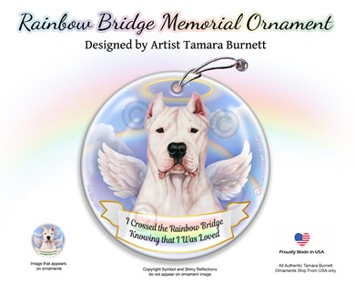 Raining Cats and Dogs | Dogo Argentino Rainbow Bridge Memorial Ornament