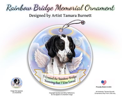 Raining Cats and Dogs | English Pointer Rainbow Bridge Memorial Ornament
