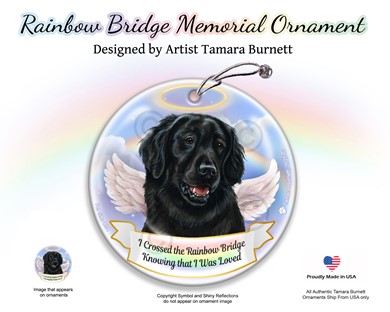 Raining Cats and Dogs | Flat Coated Retriever Rainbow Bridge Memorial Ornament