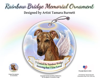 Raining Cats and Dogs | Italian Greyhound Rainbow Bridge Memorial Ornament