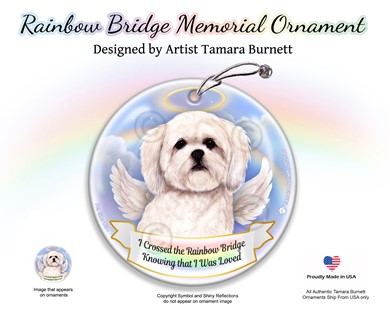 Raining Cats and Dogs | Maltipoo Rainbow Bridge Memorial Ornament