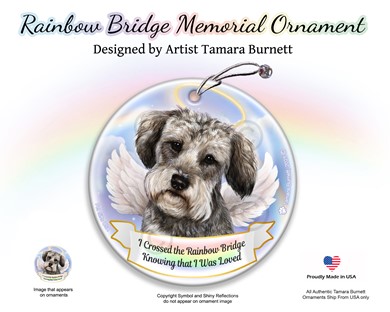 Raining Cats and Dogs | Schoodle Dog Rainbow Bridge Memorial Ornament
