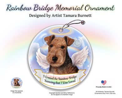 Raining Cats and Dogs | Lakeland Terrier Rainbow Bridge Memorial Ornament