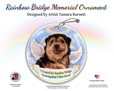 Raining Cats and Dogs | Norwich Terrier Rainbow Bridge Memorial Ornament