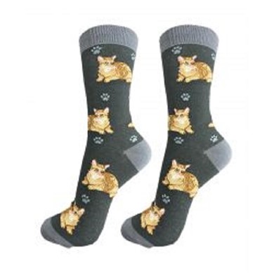 Raining Cats and Dogs | Tabby Orange Cat  Happy Tails Socks