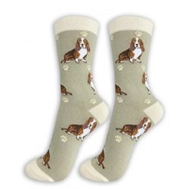 Raining Cats and Dogs | Basset Hound Happy Tails Socks