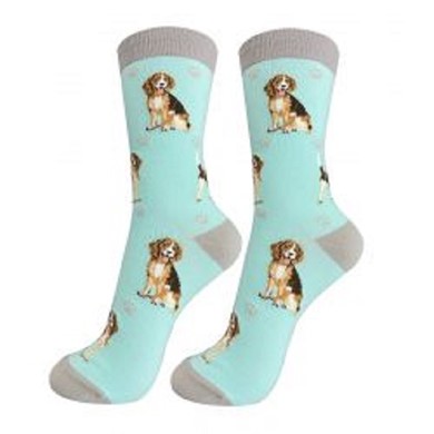 Raining Cats and Dogs | Beagle Happy Tails Socks
