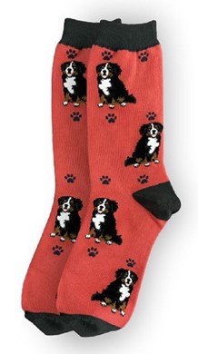 Raining Cats and Dogs | Bernese Mountain Dog Happy Tails Socks