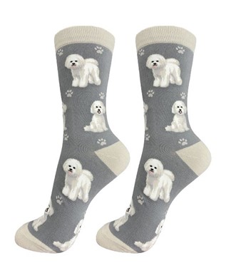 Raining Cats and Dogs | Bichon Frise Happy Tails Socks