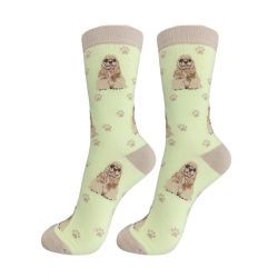 Raining Cats and Dogs |Cocker Spaniel Happy Tails Socks