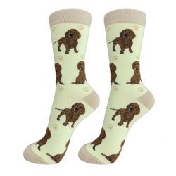 Raining Cats and Dogs | Dachshund Red Happy Tails Lover Socks