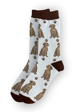 Raining Cats and Dogs | Weimaraner Happy Tails Socks