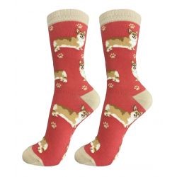 Raining Cats and Dogs | Pembroke Welsh Corgi Happy Tails Socks