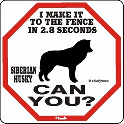 Siberian Husky Make It to the Fence in 2.8 Seconds Sign