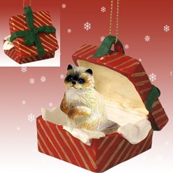 Ragdoll Cat Gift Box Christmas Ornament